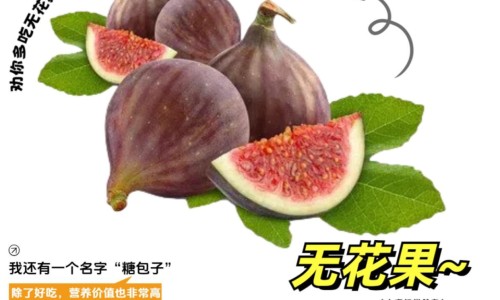 哺乳期可以吃煮熟的香蕉吗-专业哺乳期能吃香蕉不平台-喂母乳期可以吃香蕉吗
